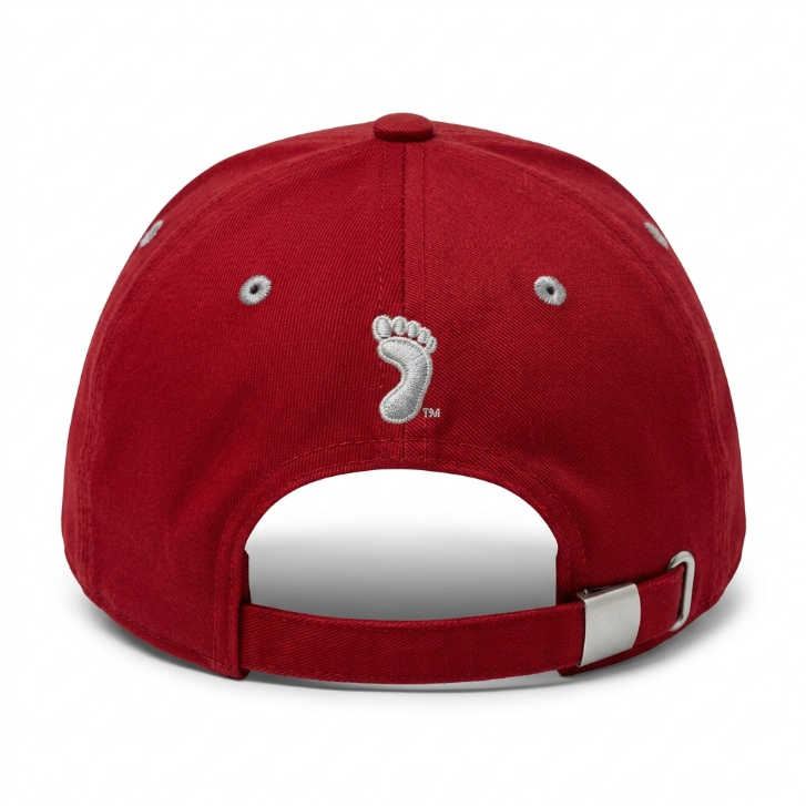 Zephyr Tar Heels UNC Wool Cap