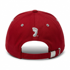 Zephyr Tar Heels UNC Wool Cap