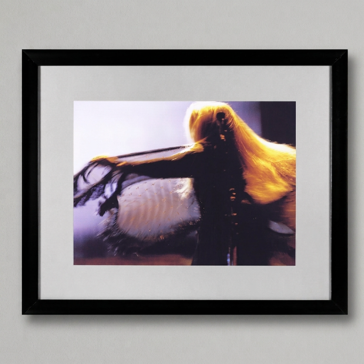 Stevie Nicks — Neal Preston — Framed Print