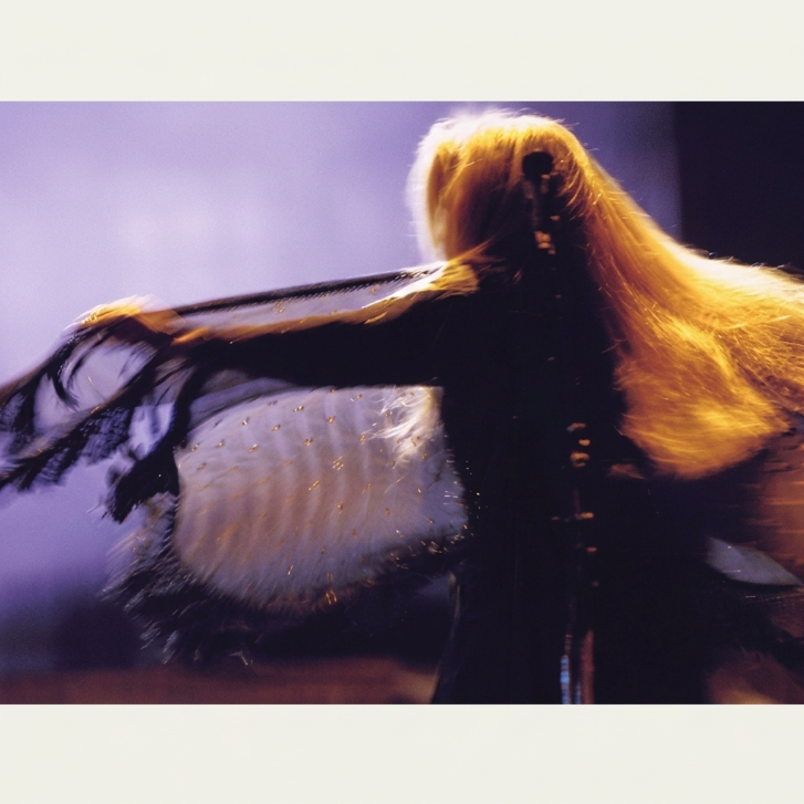 Stevie Nicks — Neal Preston — Framed Print