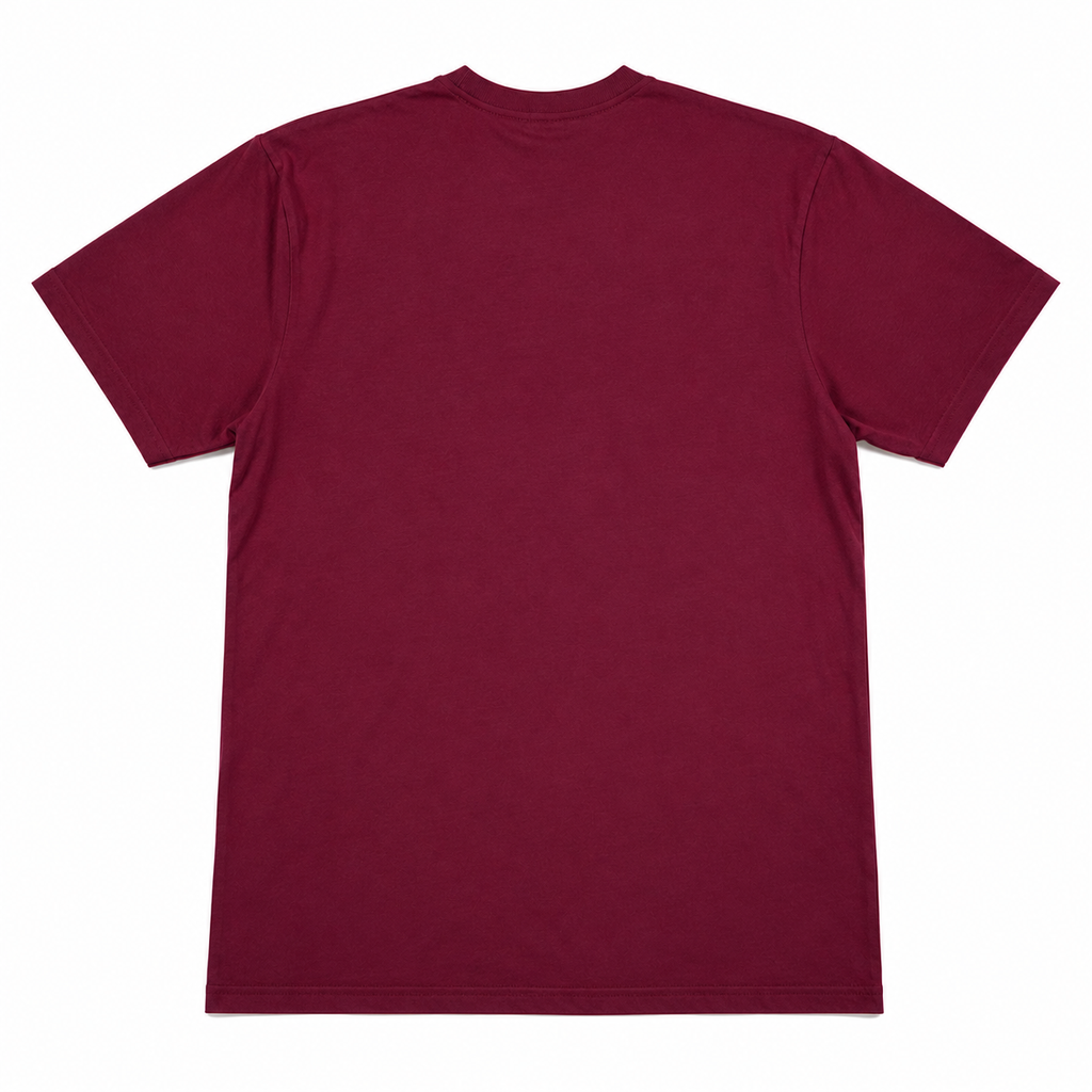 Harry Potter Gryffindor Quidditch Graphic T-Shirt - Burgundy/Gold