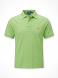 Polo Ralph Lauren Classic Fit Polo Shirt-Light Sage Green