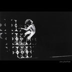 Eddie Van Halen Wall Jump — Neal Preston — Framed Print (RC16304)