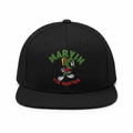 Marvin the Martian Low Profile Unstructured Dad Cap with Snap Back