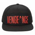 Batman Flat Bill Snapback - Vengeance