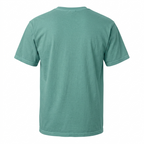 Comfort Colors Los Tigres Del Norte Graphic T-Shirt Seafoam Green