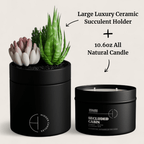 The Hidden Candle