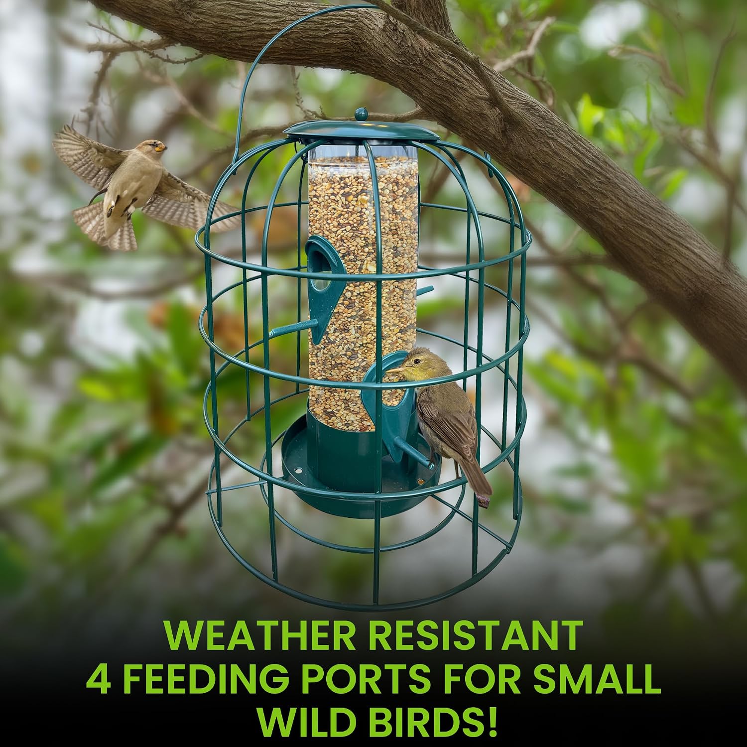 Garden Guru Squirrel Proof Bird Feeder – Weather Resistant Hanging Feeder for Outdoor Birds