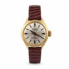 Evans De Luxe 27 Waterproof Antimagnetic Mechanical Watch - Requires Winding