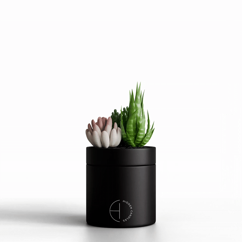 The Hidden Candle