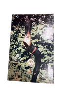 Elflord Vol. 2 Issue #2 (Vintage Aircel Comic Back Cover Art)