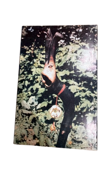 Elflord Vol. 2 Issue #2 (Vintage Aircel Comic Back Cover Art)
