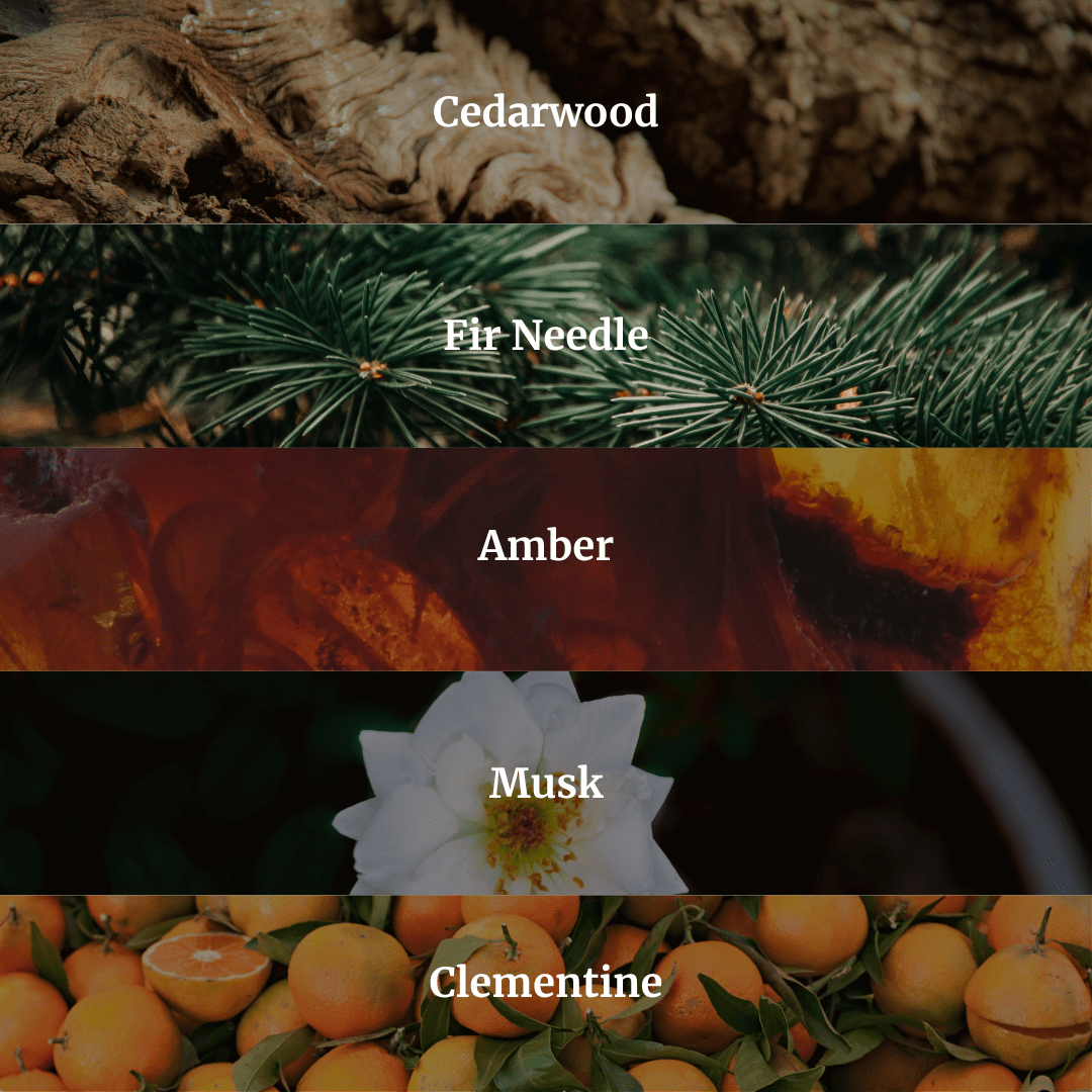 All Scents Candle Bundle - Hidden Candles
