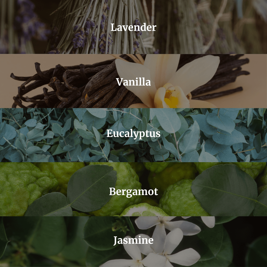All Scents Candle Bundle - Hidden Candles
