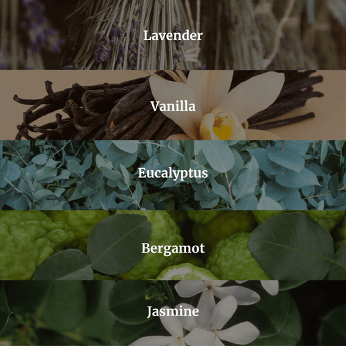 All Scents Candle Bundle - Hidden Candles