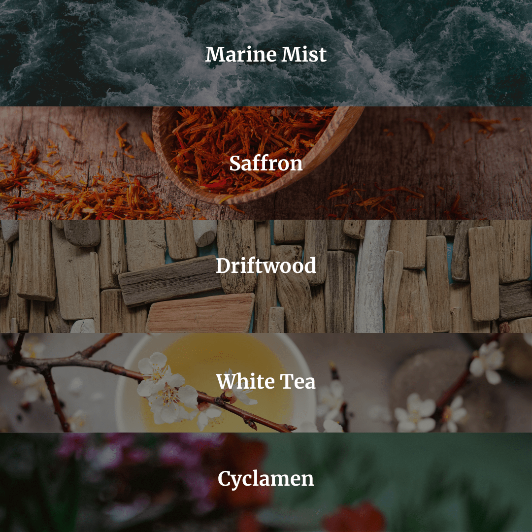 All Scents Candle Bundle - Hidden Candles