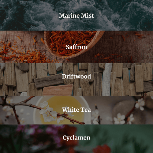 All Scents Candle Bundle - Hidden Candles