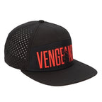 Batman Flat Bill Snapback - Vengeance