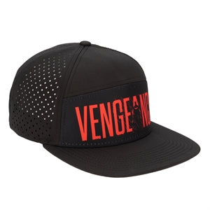 Batman Flat Bill Snapback - Vengeance